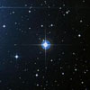 Звезда Юлия Сквалецкая (WH 1638-YSK-040215)