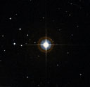 Юлия Сквалецкая (WH 1638-YSK-040215) - Звезда
